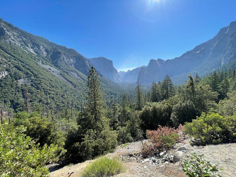 Browsing Apple OS Names